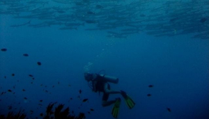 Aquaddiction Dive