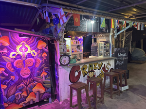 Crazy monkey bar