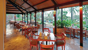 Kebun Anggrek