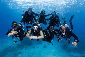 Mango Dive & Bungalow