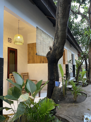 Mango tree house