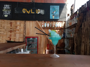 Owl Bar