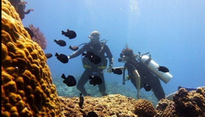 Scuba Froggy