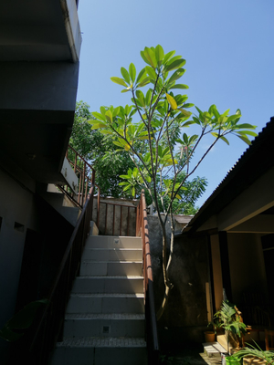 Vacation Inn Gili