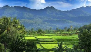 Villa Sayang Boutique Hotel