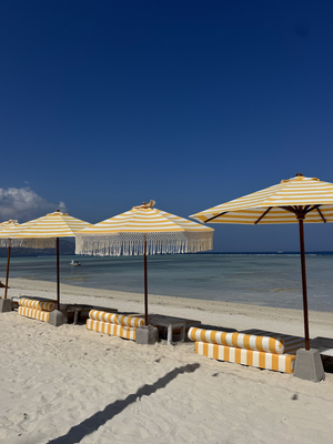 Zipp Air Beach Club