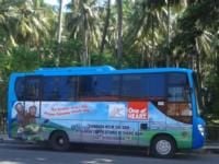 Public Transport