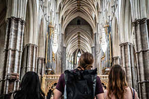 Buckingham Palace & Big Ben & Abbey Private Tour