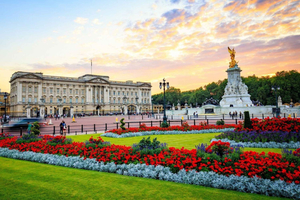 Buckingham Palace State Rooms Entry & Royal London Audio App