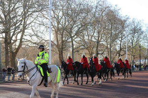London: Buckingham Palace Walk & Tea at Kensington Palace