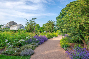 London: Kew Gardens Admission Ticket