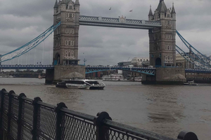 London: Tower of London and Tower Bridge Private Tour
