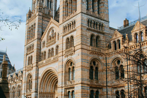 Londres: Tour Guiado no Museu de História Natural com Entrada Prioritária