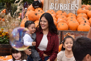 Pumpkin Patch