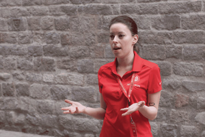 Top Attractions and City Highlights Walking Tour