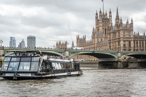 Westminster Tour, River Cruise, and Tower of London
