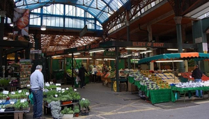 Markt Metropolis