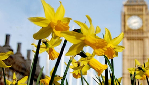 Topparken in het Lente Londen