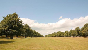 Bushy Park
