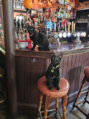 King William Ⅳ Pub & Rooms