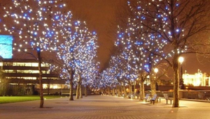 London Walks