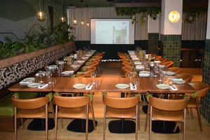 Olea Social
