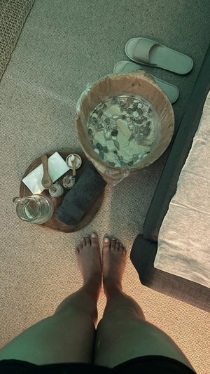 Organic Flow Wellness & Therapy