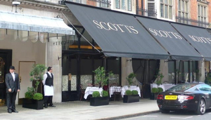 Scott's