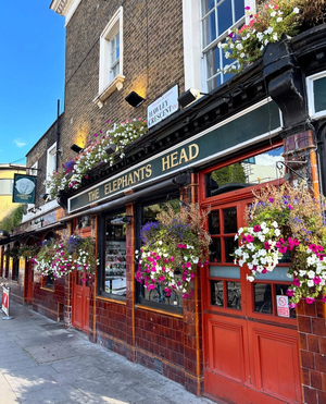 The Elephants Head