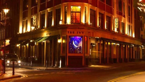 The Ivy