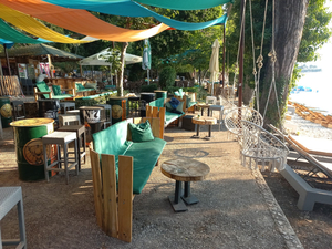 Beach „Jungle“