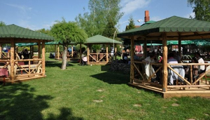 Ethno Restaurant - Vila Vesnica