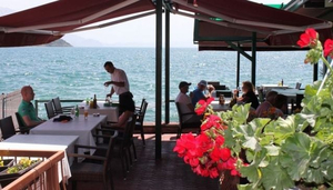 Momir Tavern