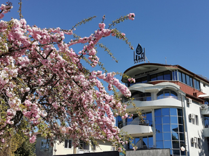 Su Hotel