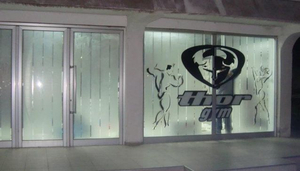 Thor Gym