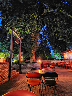 Venus Lounge Bar