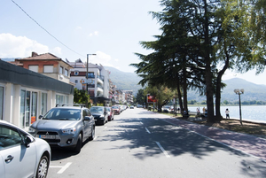 Villa Delfin