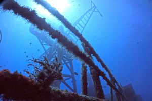 2 magic dives with freedom for Certified Divers