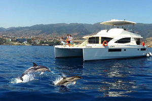 All Inclusive Wal- und Delfinbeobachtungstour Luxus Tour