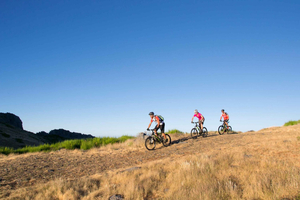 TOUR IN BICICLETTA - LIVELLI BOTANICI DI MADEIRA, ESPERIENZA DI PERCORSO