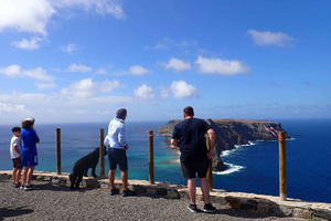 Calheta : Circuit en van sur la côte sud-ouest