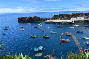 Câmara de Lobos Walking Tour & Wine Tasting with a Local
