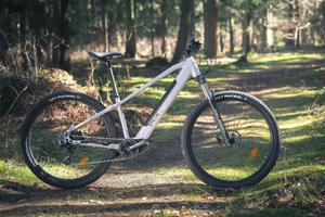 Costa da Caparica: All-Terrain Electric Bike Rental