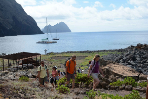 Escursione in catamarano di un'intera giornata alle Isole Desertas da Funchal