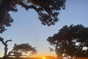 Fanal: a secret sunset walk