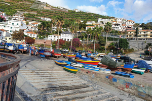 Da Funchal: tour in tuk tuk a Camara de Lobos e Cabo Girao