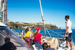 Funchal: Delfin- und Walbeobachtung mit dem Luxuskatamaran