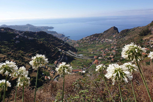 Funchal: Levada do Norte - Guidet vandretur med transport