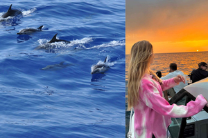 Funchal: Morning/ Sunset Catamaran Tour w/ Open Bar & Snacks