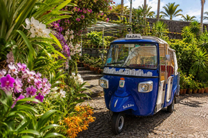 Funchal: Orchid Garden, Old Town & Pináculo Tuk-Tuk Tour